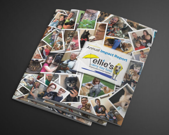 Annual Impact Report Template