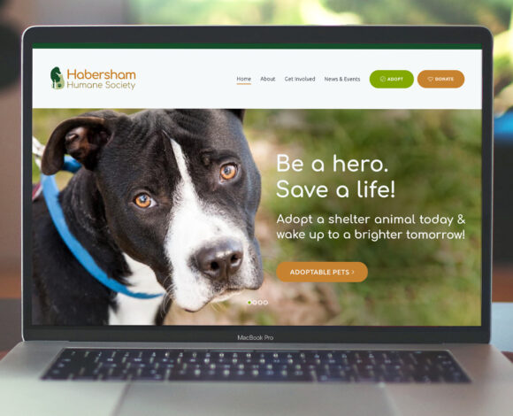 Animal Rescue Website