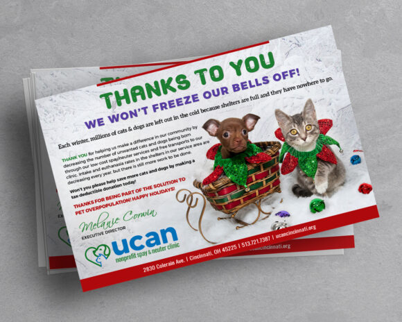 Seasonal Fundraising Campaign