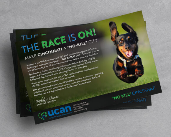 Donor Outreach Campaign